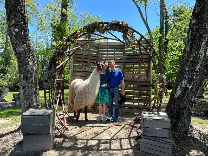 Why Ellaberry Llama Farm Feels So Special Why Ellaberry Llama Farm Feels So Special