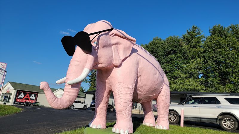 Why Ellie The Pink Elephant Is Worth The Detour