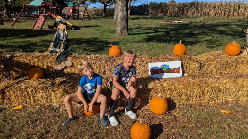 Why Fall Is the Best Time to Visit Why Fall Is the Best Time to Visit