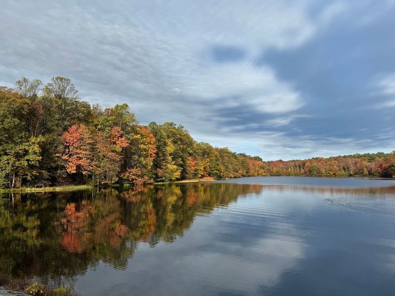Why French Creek Leaves People Wanting To Return