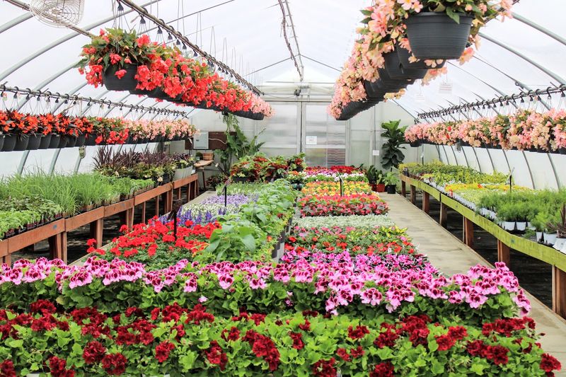 Why Plant Lovers Keep Coming Back