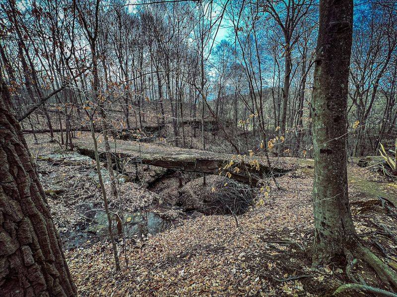 Why Rockbridge deserves a spot on your Ohio bucket list Why Rockbridge deserves a spot on your Ohio bucket list