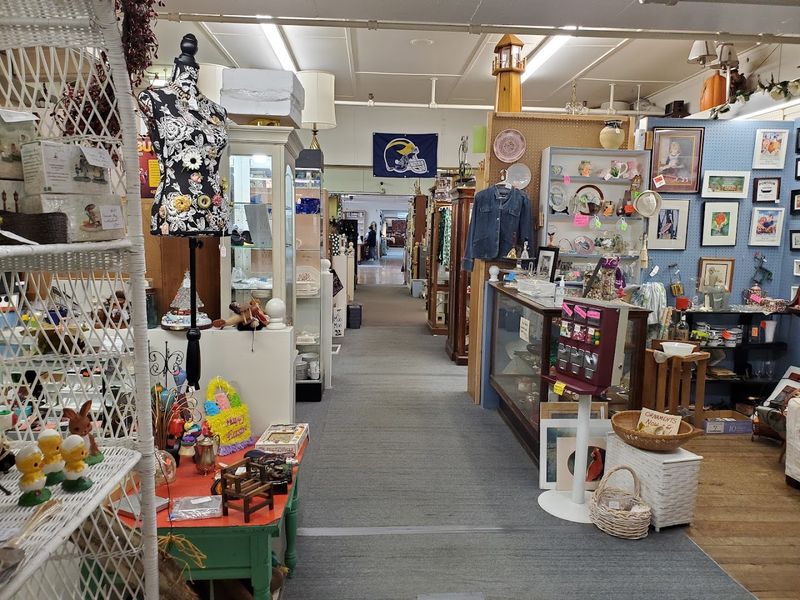 Why Serious Collectors Keep Coming Back to This Address