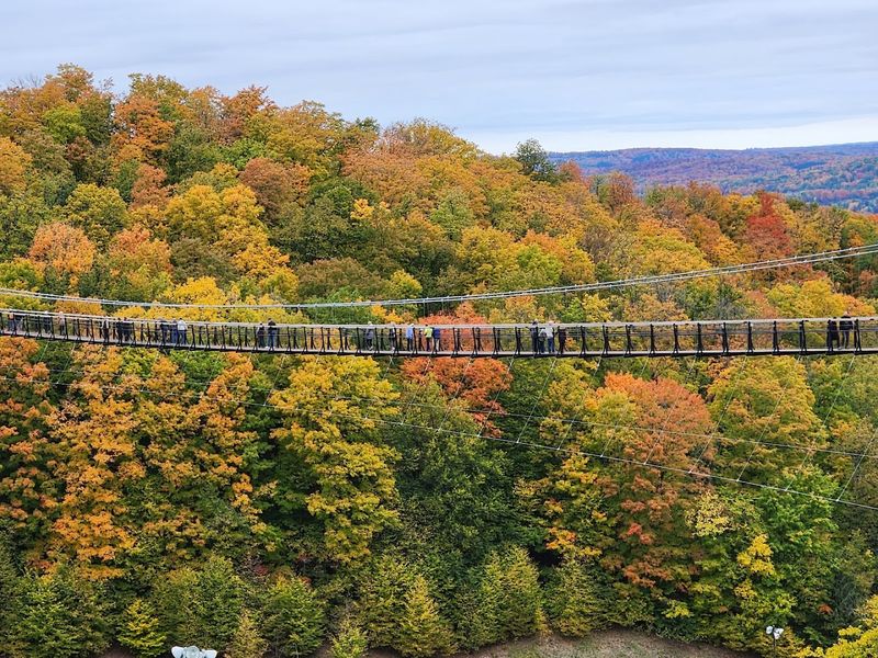 Why SkyBridge Michigan Stands Apart From Other Northern Michigan Attractions Why SkyBridge Michigan Stands Apart From Other Northern Michigan Attractions
