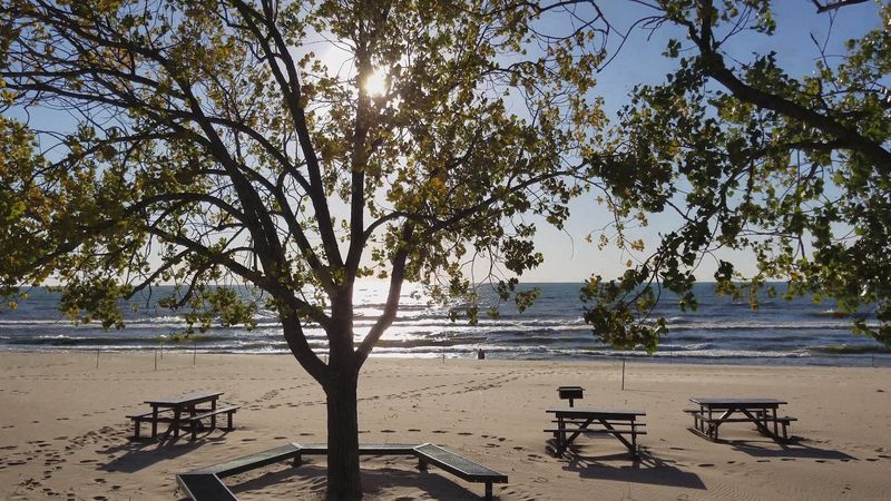 Why Spring Lake Locals Treat This Park Like a Well-Kept Secret