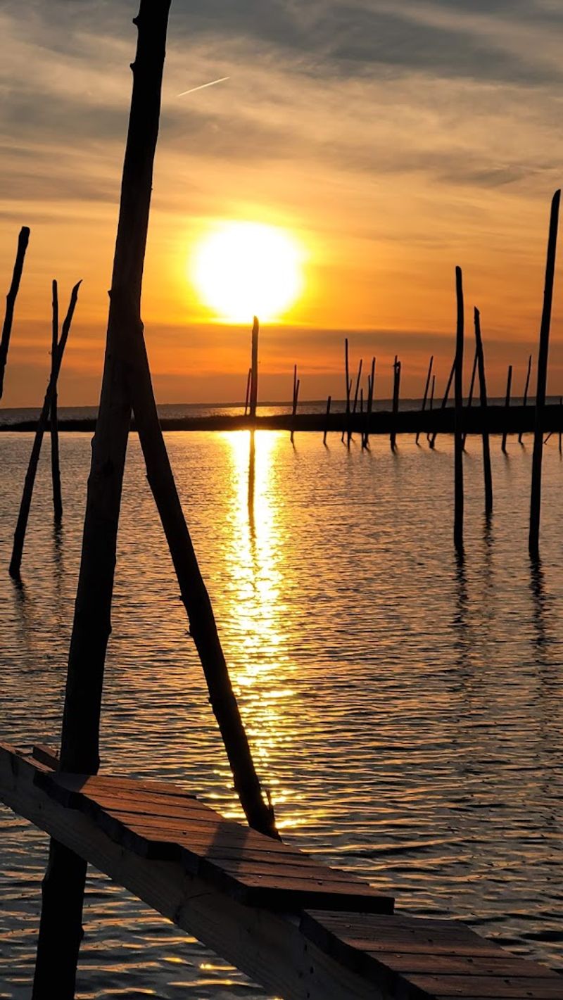 Why Sunset Turns This Remote Bayfront Into the Main Event Why Sunset Turns This Remote Bayfront Into the Main Event