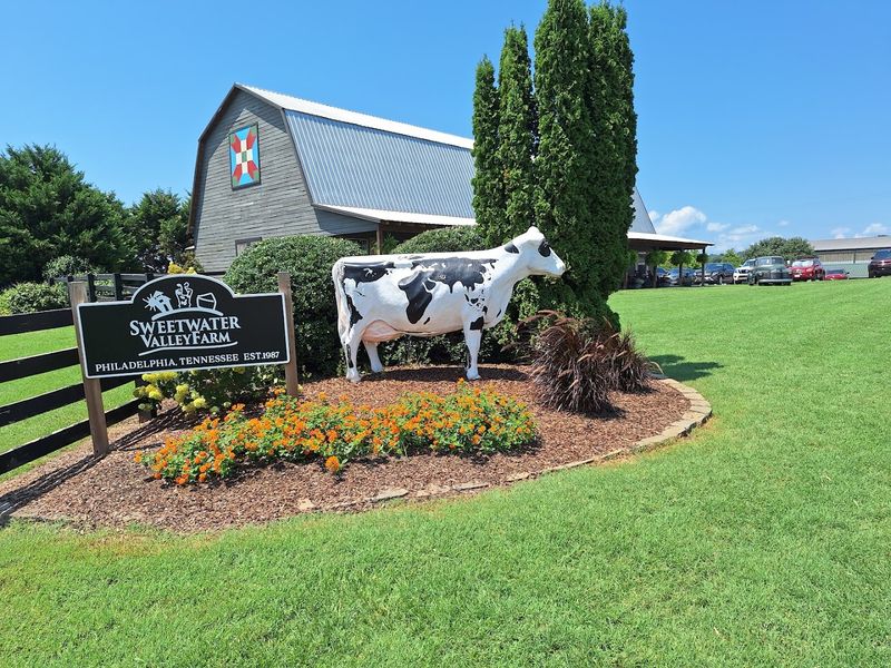 Why Sweetwater Valley Farm Is Worth the Drive to Philadelphia Why Sweetwater Valley Farm Is Worth the Drive to Philadelphia