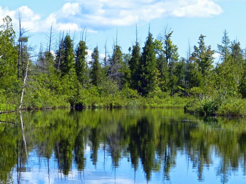 Why This Corner Of Michigan Works So Well