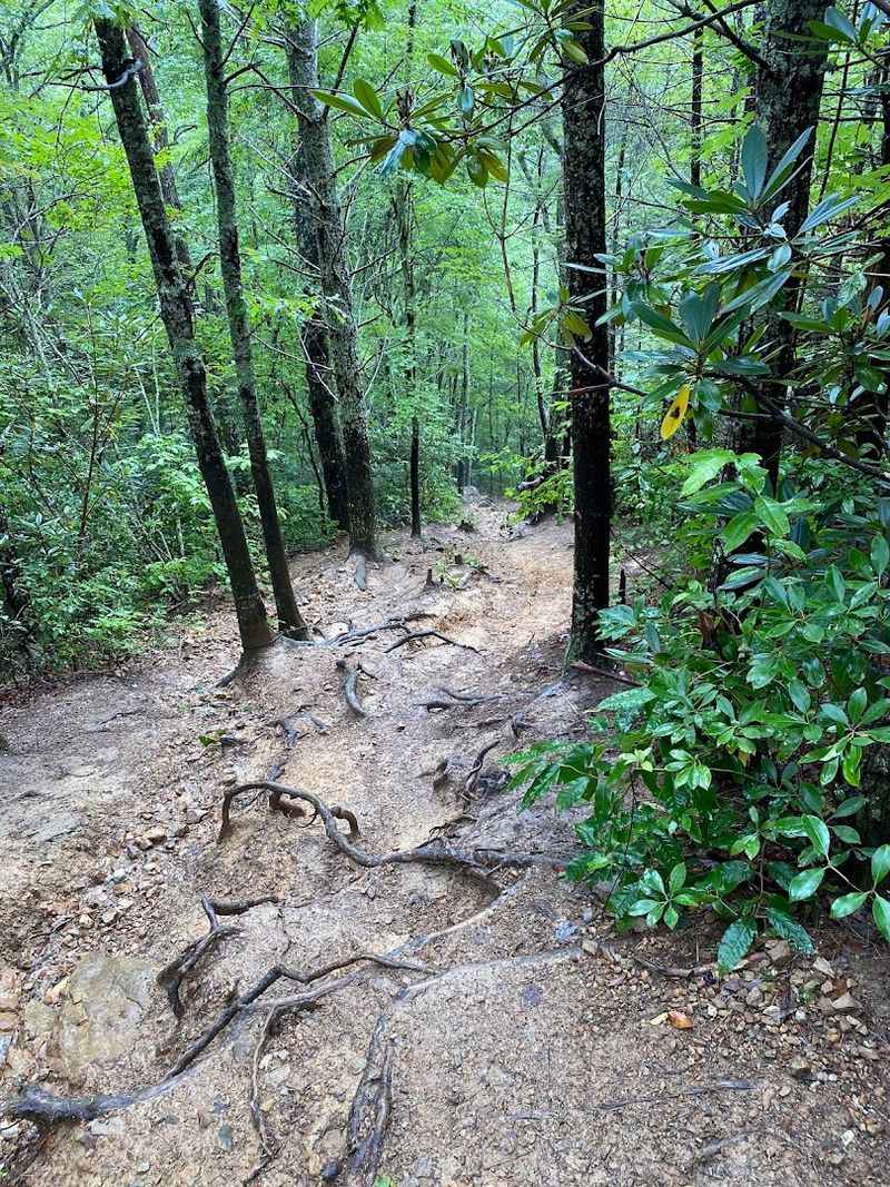 Why This Hike Is Better for Experienced Adventurers