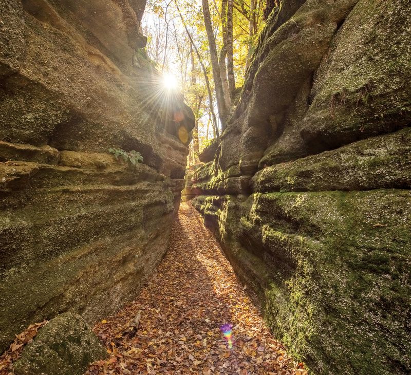 Why This Park Leaves Such A Strong Impression