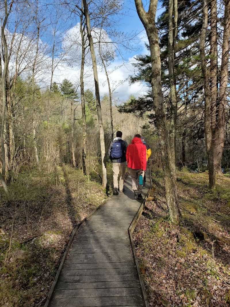 Why This Short Walk Stays With You Why This Short Walk Stays With You