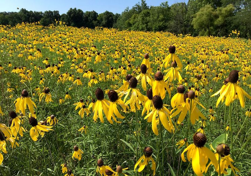 Why This Small Preserve Is Worth The Stop Why This Small Preserve Is Worth The Stop