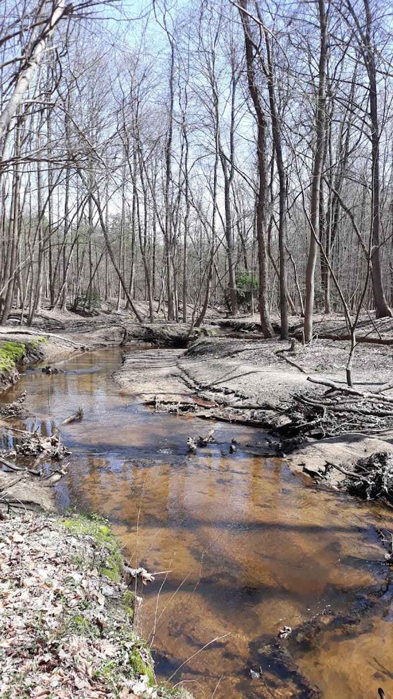 Why This Trail Is Perfect for a Low-Key Outdoor Escape Why This Trail Is Perfect for a Low-Key Outdoor Escape