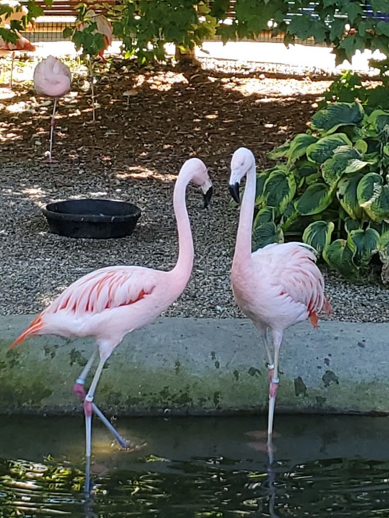 Why This Zoo Belongs On Your Summer List Why This Zoo Belongs On Your Summer List