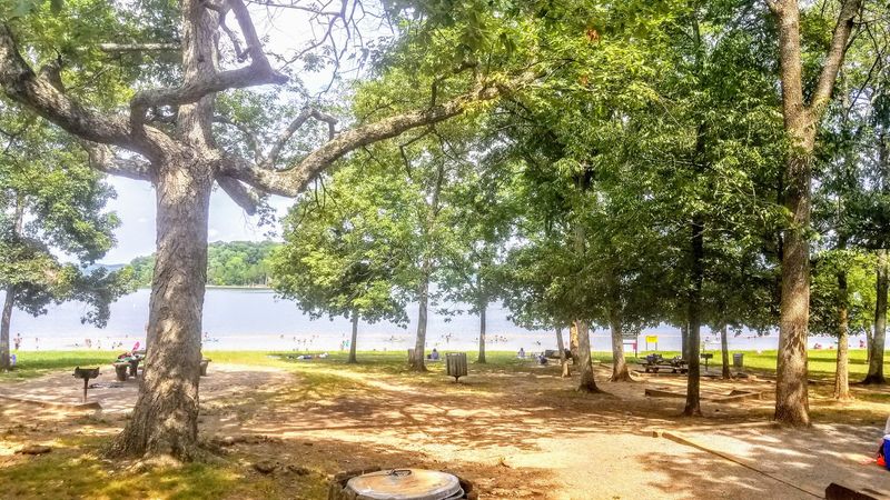 Why the $5 Entry Fee Feels Like a Summer Bargain Why the $5 Entry Fee Feels Like a Summer Bargain