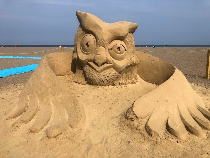 Why the Sand Feels Like the Main Attraction Why the Sand Feels Like the Main Attraction