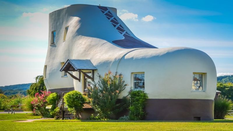 Why the Shape Matters