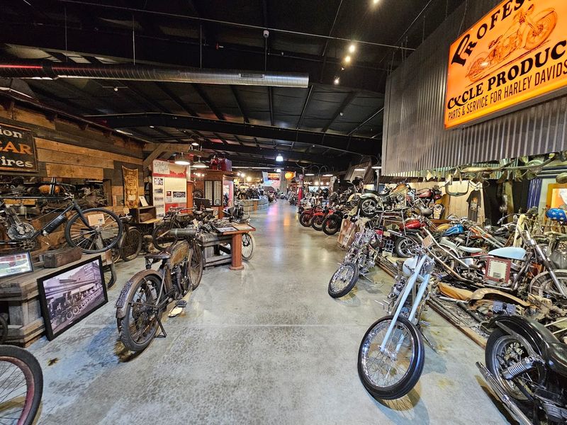Why the collection feels so extraordinary
