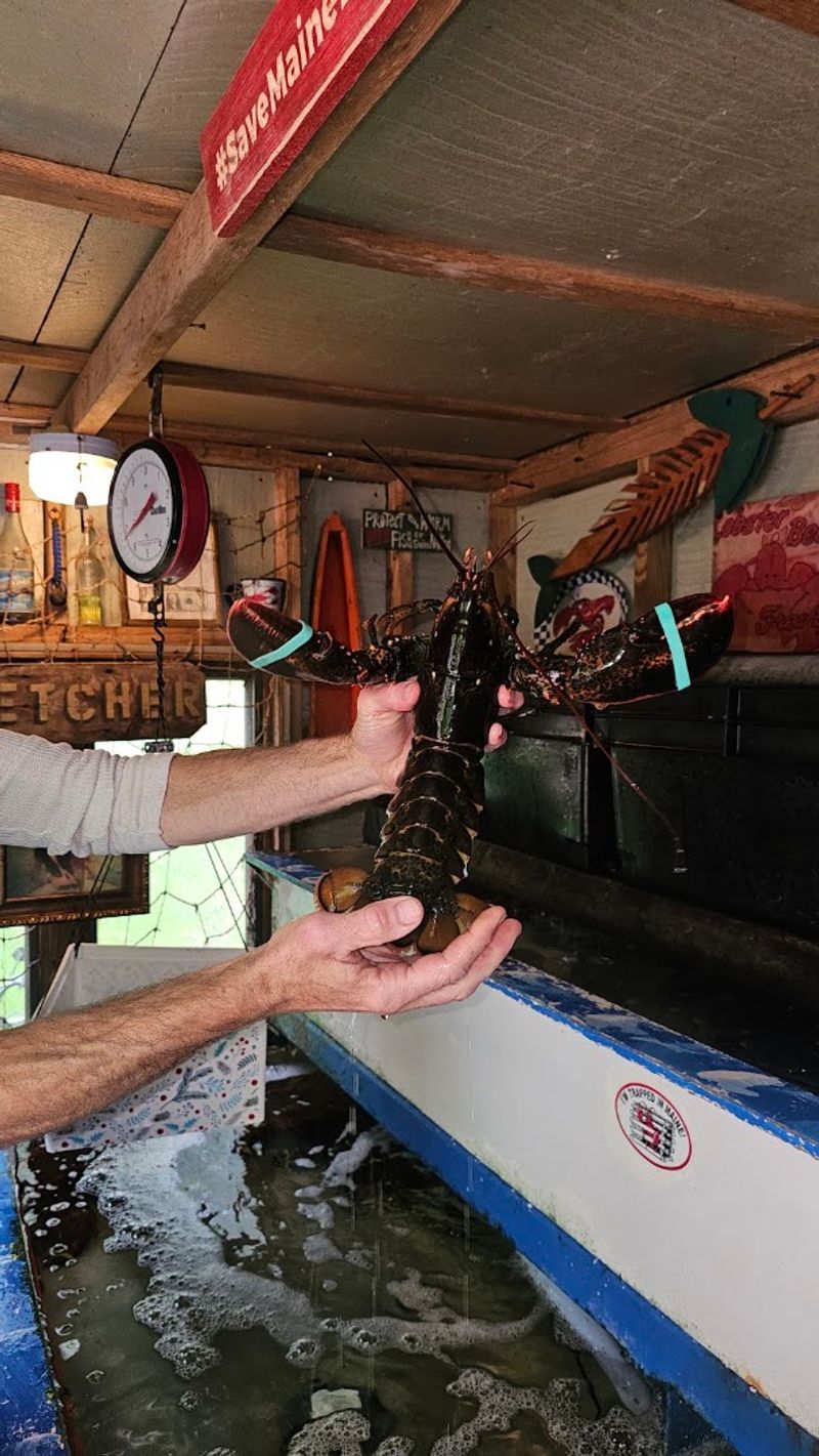 Why the lobster gets all the attention
