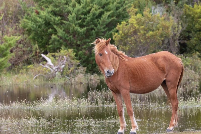 Why this Beaufort excursion is worth doing