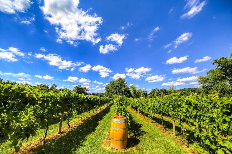 Why this Canton resort is worth planning a trip around