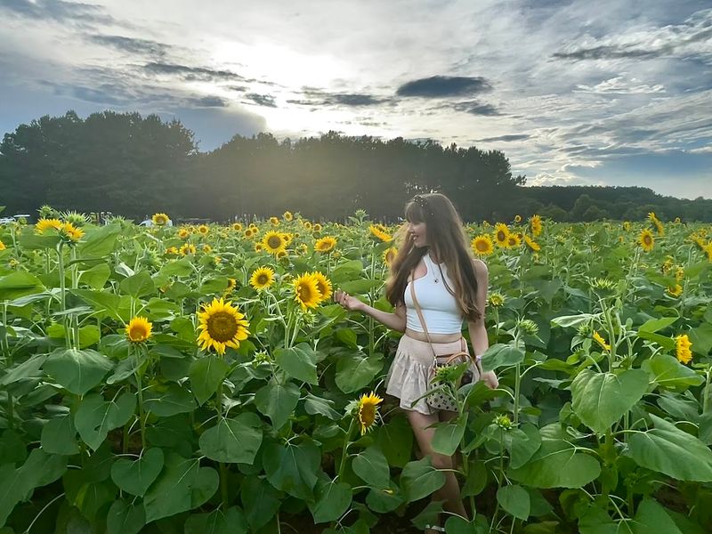 Why this field is worth the trip Why this field is worth the trip