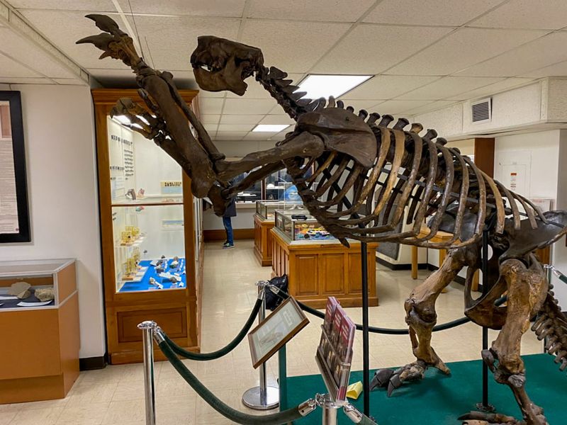 Why this free museum is worth seeking out Why this free museum is worth seeking out