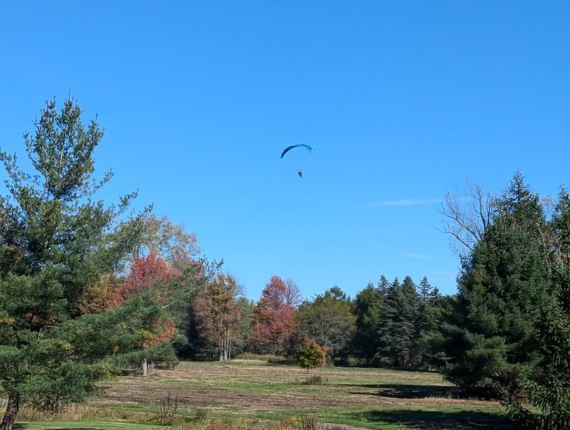 Why this is one of New York’s most memorable aerial adventures Why this is one of New York’s most memorable aerial adventures