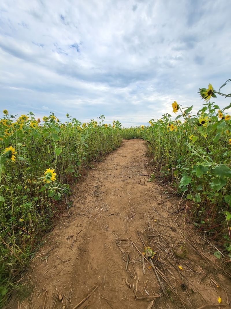 Wide paths make the experience easy and relaxing Wide paths make the experience easy and relaxing