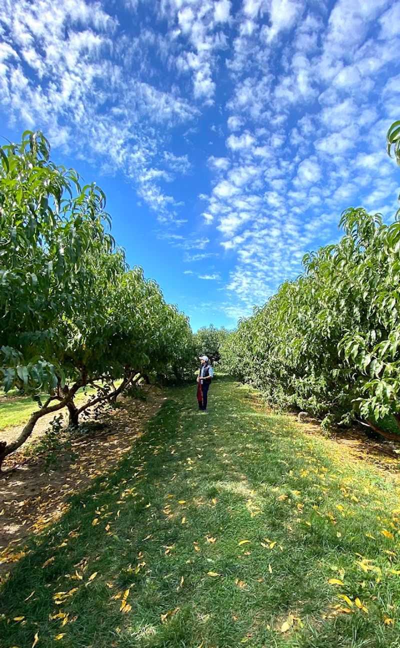 Wightman Farms - Morristown