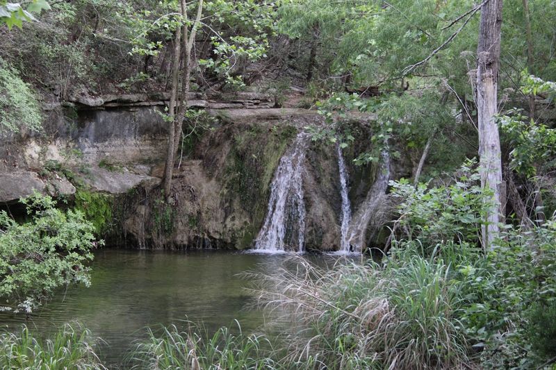 Wild Basin Wilderness Preserve (Austin) Wild Basin Wilderness Preserve (Austin)