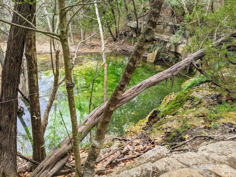 Wild Basin Wilderness Preserve (Austin) Wild Basin Wilderness Preserve (Austin)