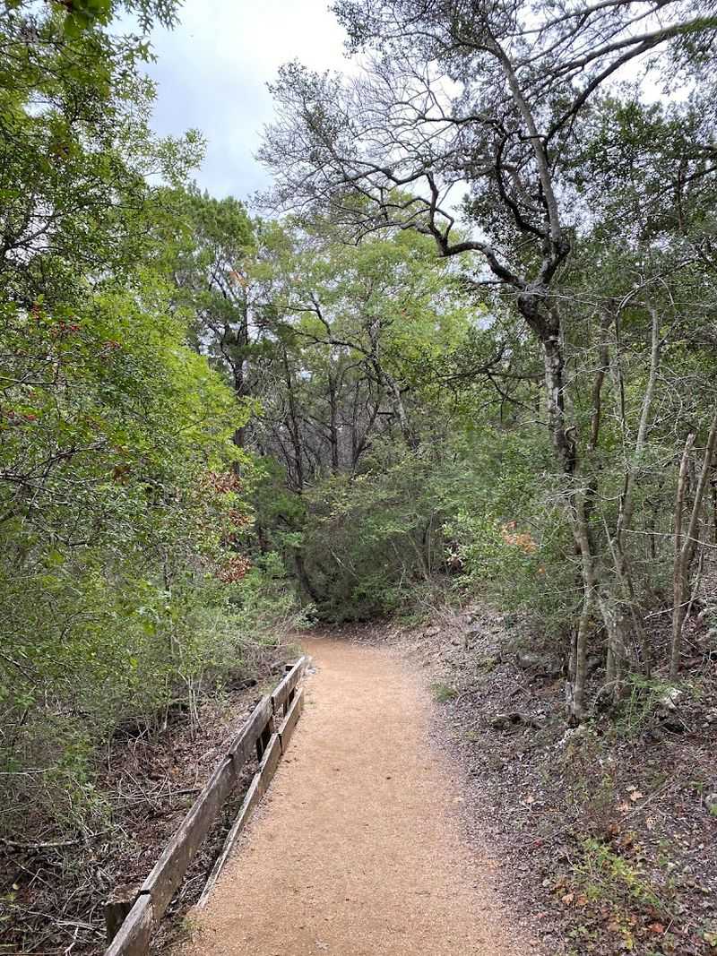 Wild Basin Wilderness Preserve Trails (Austin) Wild Basin Wilderness Preserve Trails (Austin)