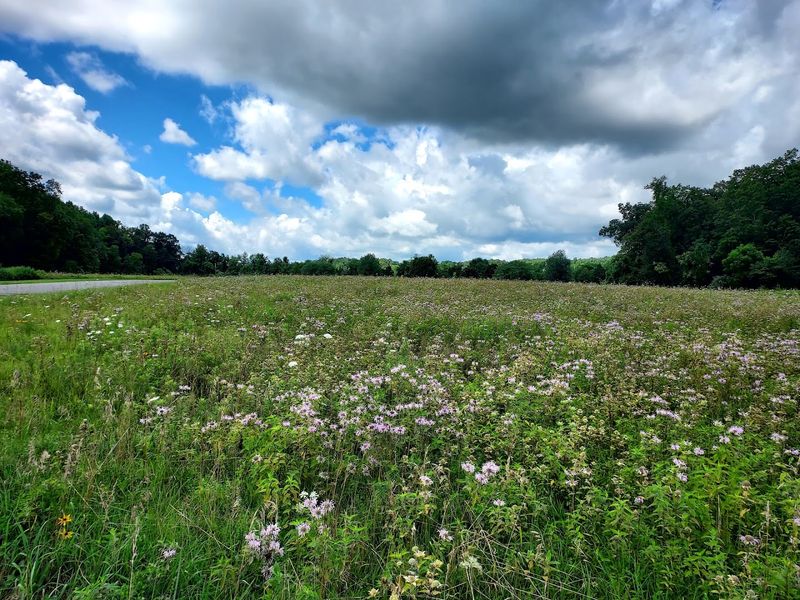 Wildflower meadows, quiet woods, and abundant wildlife complete the sanctuary-like escape