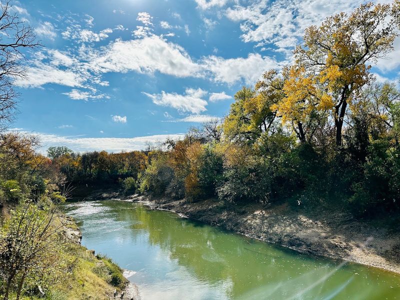 Wildlife Encounters That Don't Require Hiking Deep Into Wilderness