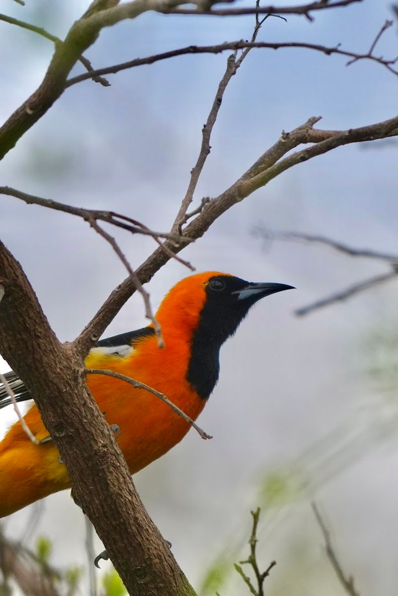 Wildlife Encounters That Feel Like Discoveries Wildlife Encounters That Feel Like Discoveries