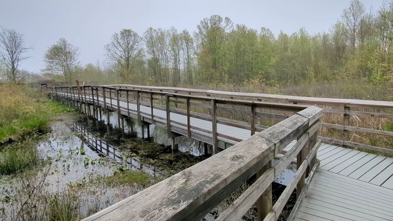 Wildlife Observation Center Boardwalk Trails at Great Swamp National Wildlife Refuge — Harding Township Wildlife Observation Center Boardwalk Trails at Great Swamp National Wildlife Refuge — Harding Township