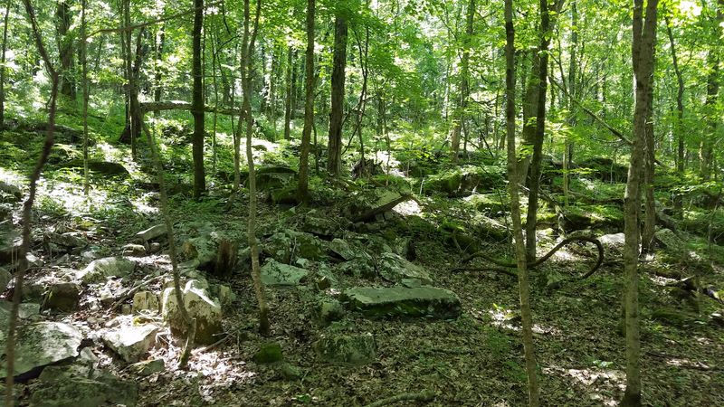 Wildlife Sightings Add To The Sense Of Adventure