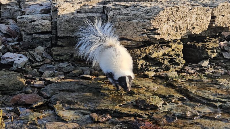 Wildlife Watching That Surprises First-Time Visitors