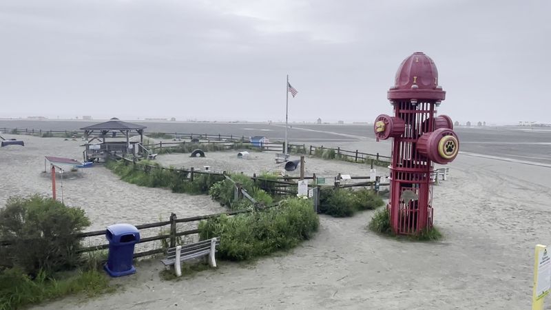 Wildwood Dog Park & Beach — Wildwood