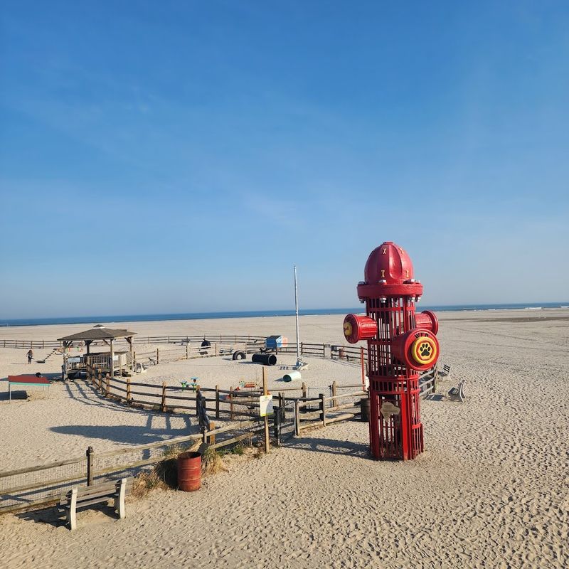 Wildwood Dog Park and Beach