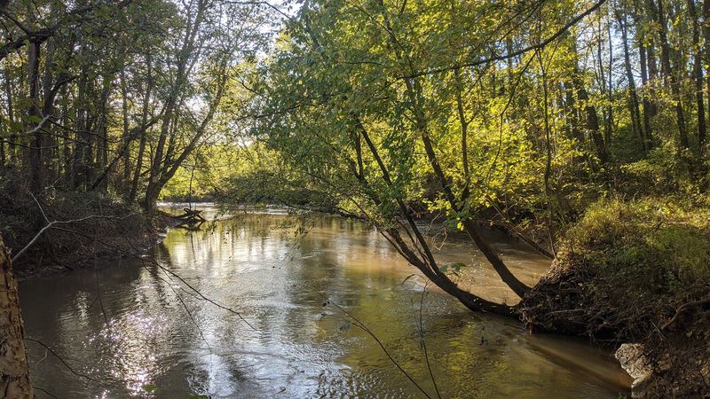 William B. Clark State Natural Area, Rossville