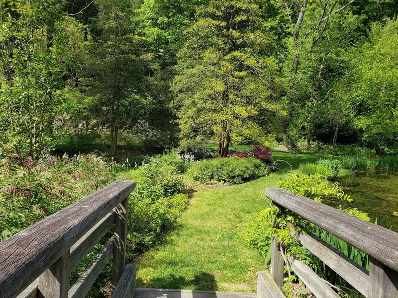 Winding Woodland Trails Lead Past Quiet Ponds, Streams, and Storybook Bridges