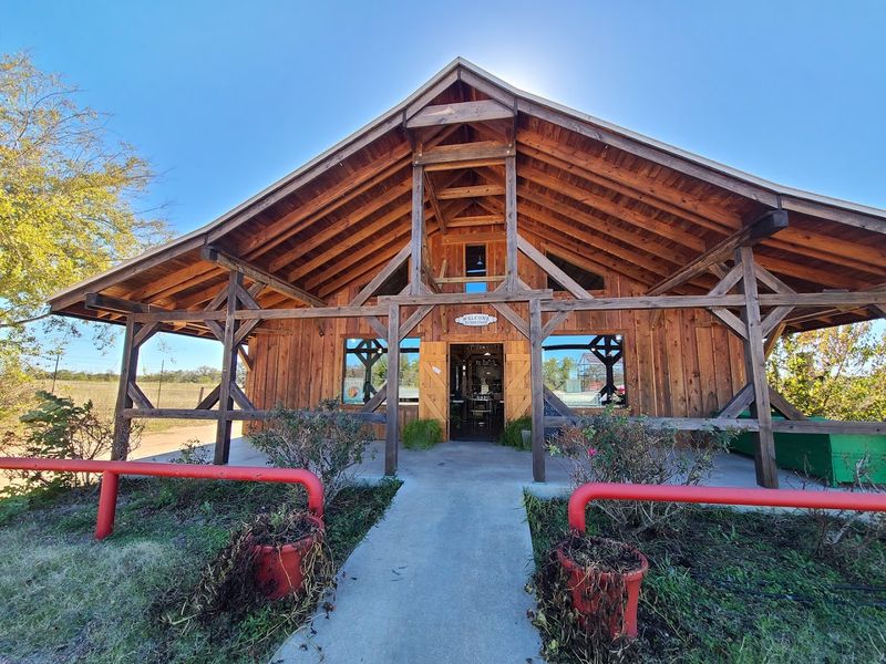 Wine Trail Adventures Through Hill Country