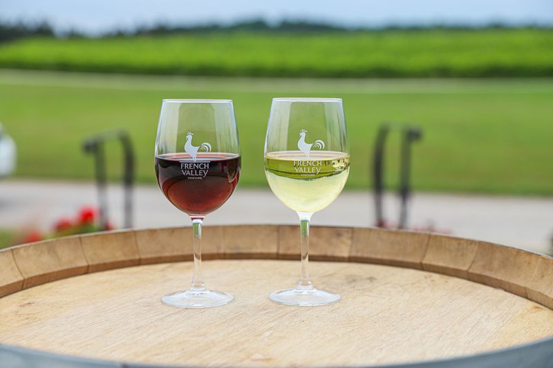 Wines Worth Slowing Down For