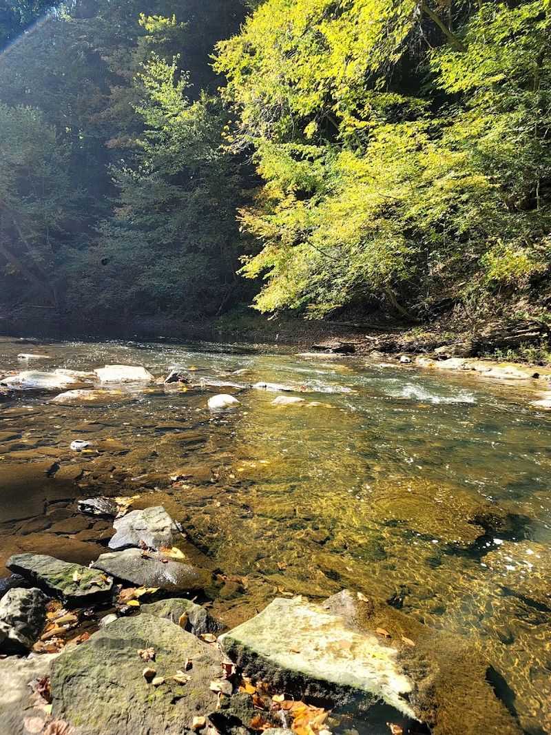 Wolf Creek Brings The Preserve To Life