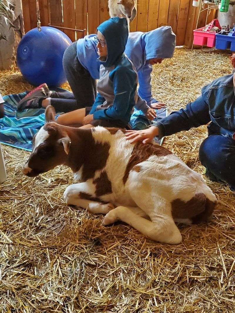 Workshops, Festivals, And More Than A Standard Farm Visit Workshops, Festivals, And More Than A Standard Farm Visit