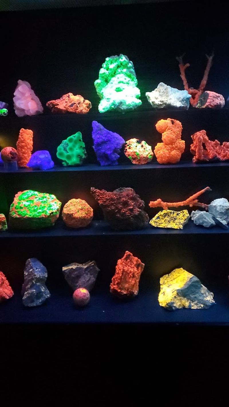 World-Class Specimens In A Small Space