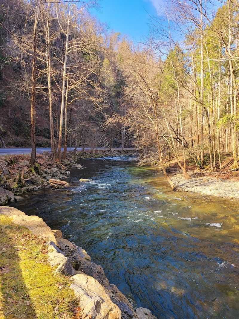 Little River Road – Great Smoky Mountains National Park