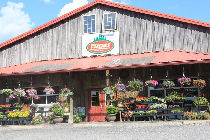 Yeager’s Farm & Market (Phoenixville) Yeager’s Farm & Market (Phoenixville)